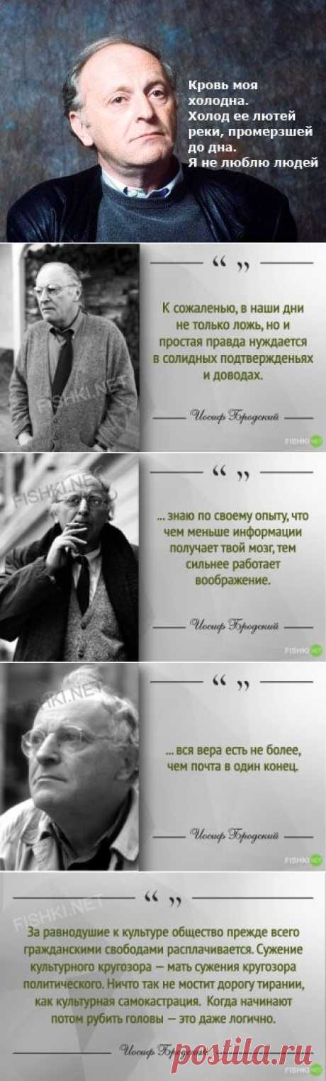 (+1) тема - Иосиф Бродский: лучшие цитаты и афоризмы | Полезные советы