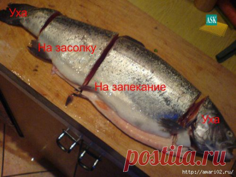 Учимся разделывать быстро рыбу.