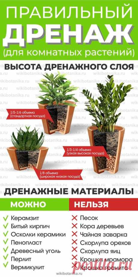Как устроить правильный дренаж для комнатных растений