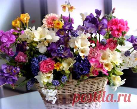 Притча о корзине с цветами
