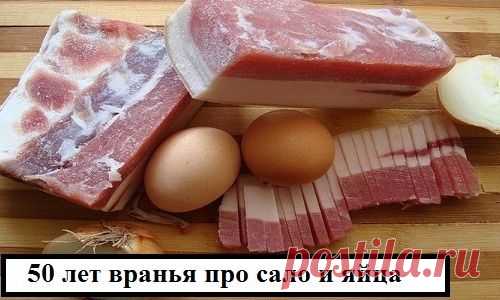 Вот это поворот! 50 лет вранья про сало и яйца как нас обманули диетологи!