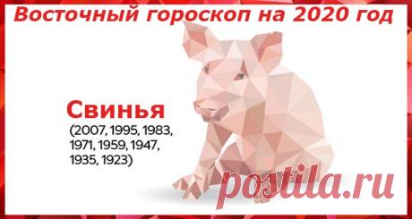 Восточный гороскоп на 2020 год Свинья: женщины и мужчины