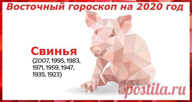 Восточный гороскоп на 2020 год Свинья: женщины и мужчины