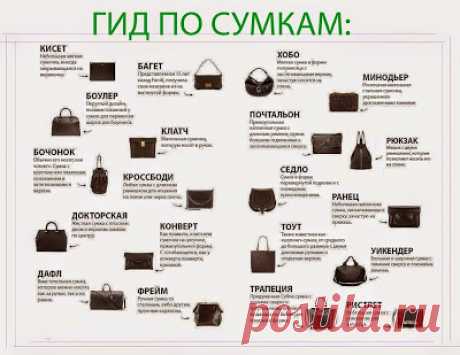 Виды сумок и их названия