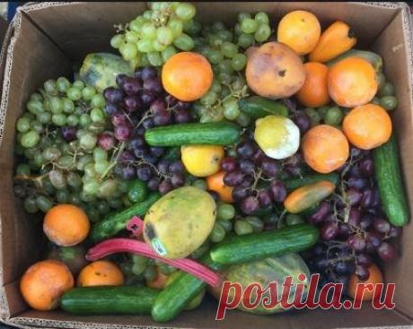 30 - 40 % продуктов питания в США выбрасываются неиспользованными. Покупка неиспользованного продовольствия в США помогает экономить местной бедноте.