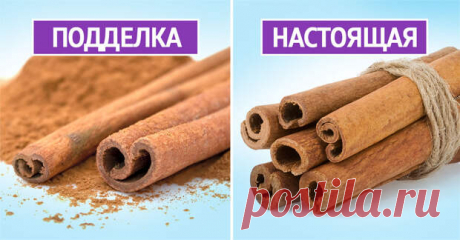 Корица или кассия: как отличить пряность от фальшивки - Важно знать - медиаплатформа МирТесен Кассия и корица относятся к растениям рода коричник, однако между ними есть много различий. Корица издавна считалась одной из самых популярных специй. В древней Греции, например, килограмм корицы продавался за килограмм золота. Из-за своей популярности и многофункциональности с годами спрос на эту