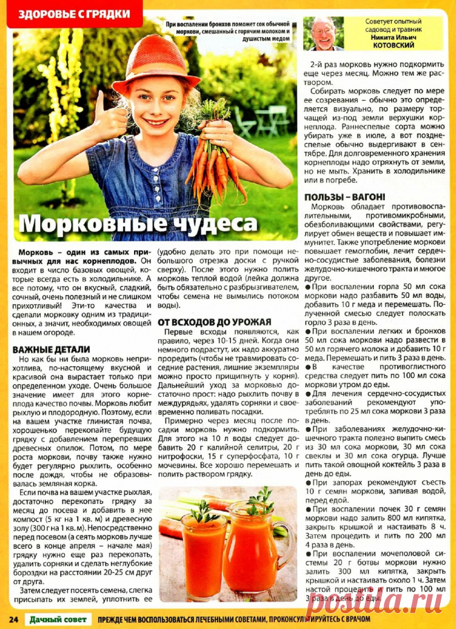Выращиваем морковь