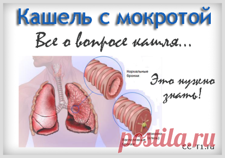 Кашель с мокротой – лечение у ребенка и взрослого (лекарства и средства). Сильный кашель с трудноотделяемой мокротой зеленого, желтого, гнойного характера или с кровью. Как лечить причины?