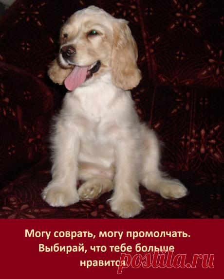 Мировые секреты | Яндекс Дзен