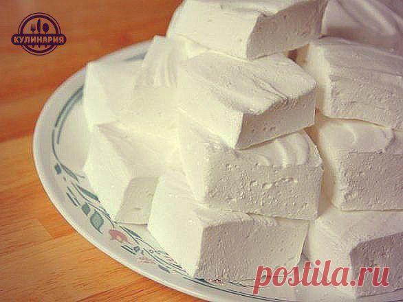 ДОМАШНИЙ ЗЕФИР » В сети – себя просвети!