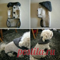 Small dog Sweater / Crochet Dog Clothes / Pet clothing / | Etsy
