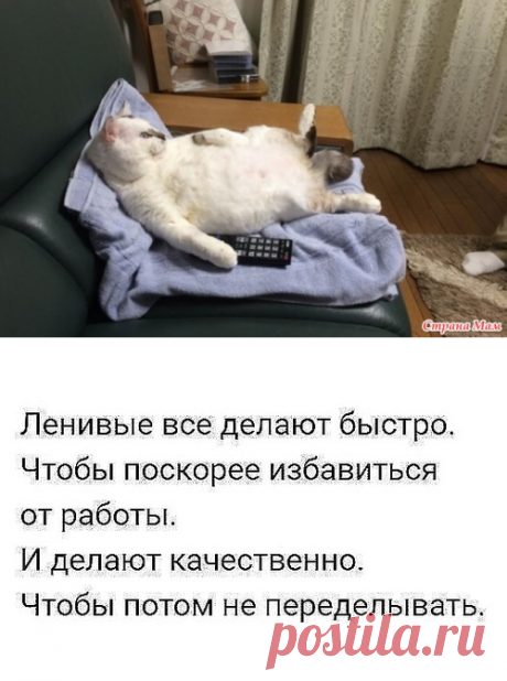 5 шагов к избавлению от лени - Страна Мам