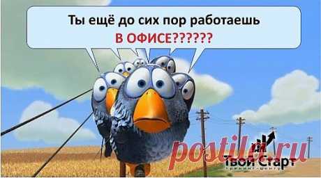 Новости