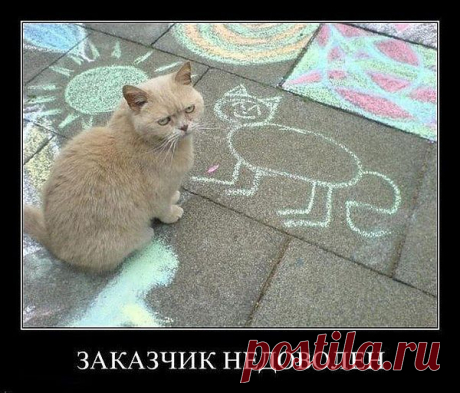 Заказчик недоволен