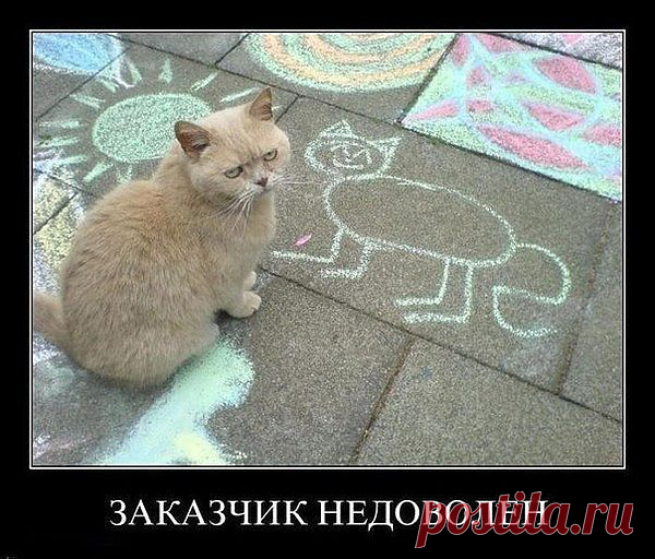 Заказчик недоволен