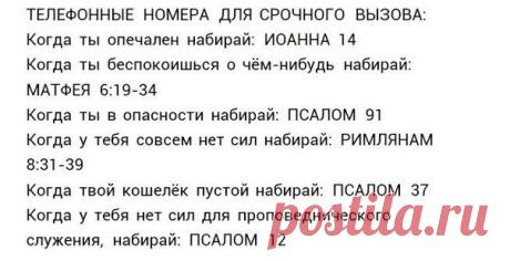 Свидетели Иеговы jw.org