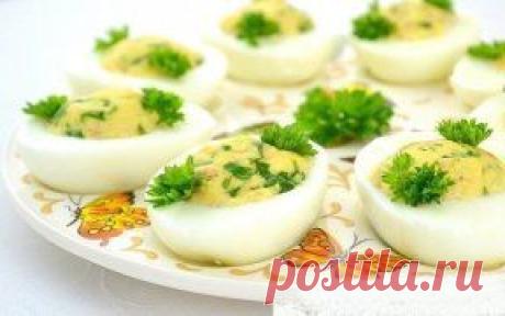 ТОП - 6 рецептов приготовления замечательных закусок!
