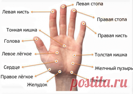Как массаж пальцев рук может помочь в похудении и лечении хронических заболеваний