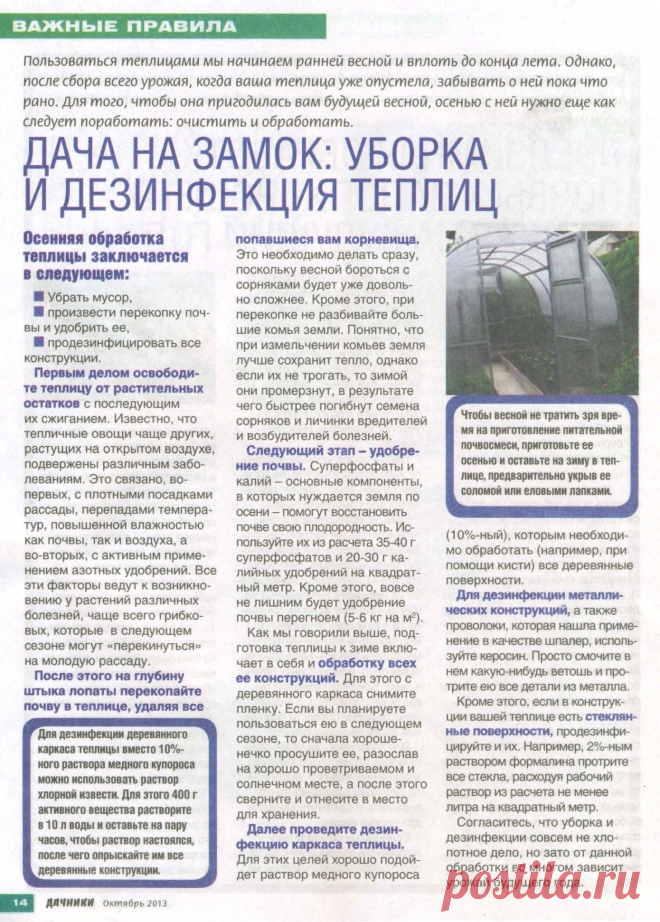 Дача на замок: уборка и дезинфекция теплиц