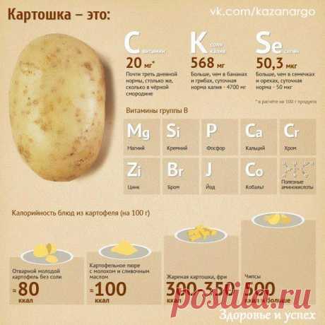 С какими продуктами лучше сочетать картофель?