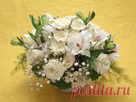 БУКЕТ ИЗ БЕЛЫХ РОЗ