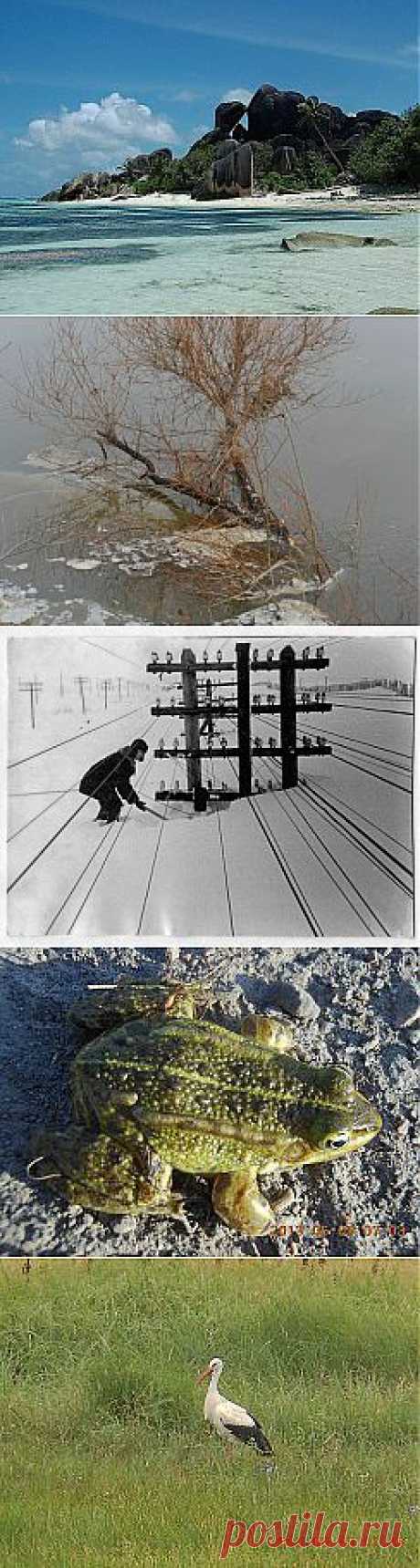 (4) Одноклассники