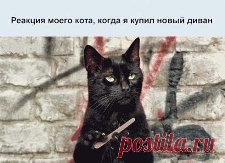 Красиво Сказано...