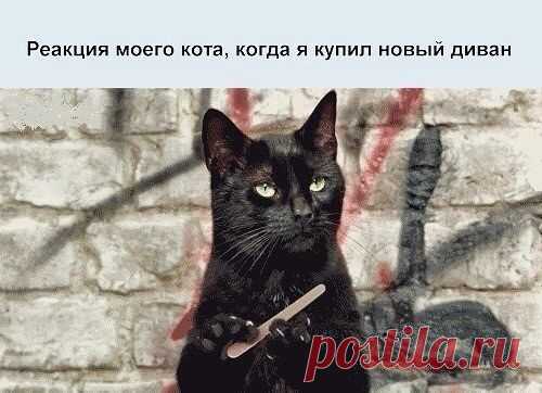 Красиво Сказано...