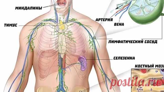 Этот сироп творит - чудеса! Чистка лимфатической системы
