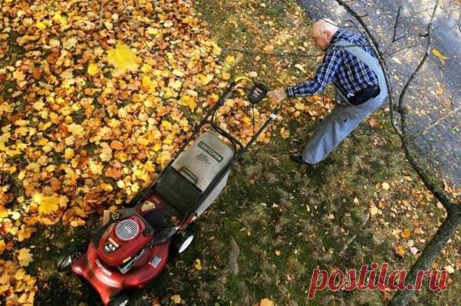 7 полезных идей что делать с опавшими листьями