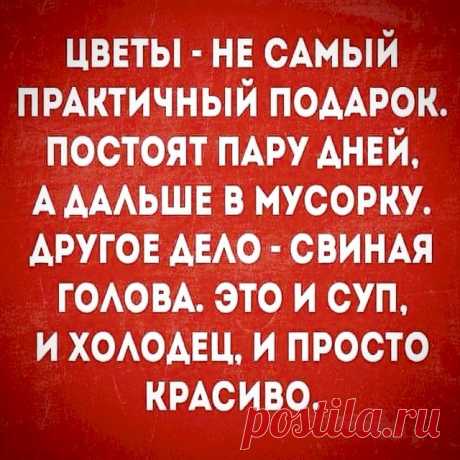 Выпуск №6570 - выпуск анекдотов сайта вокруг смеха