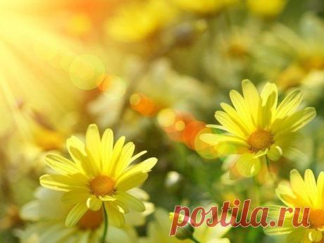 Доброе утро)