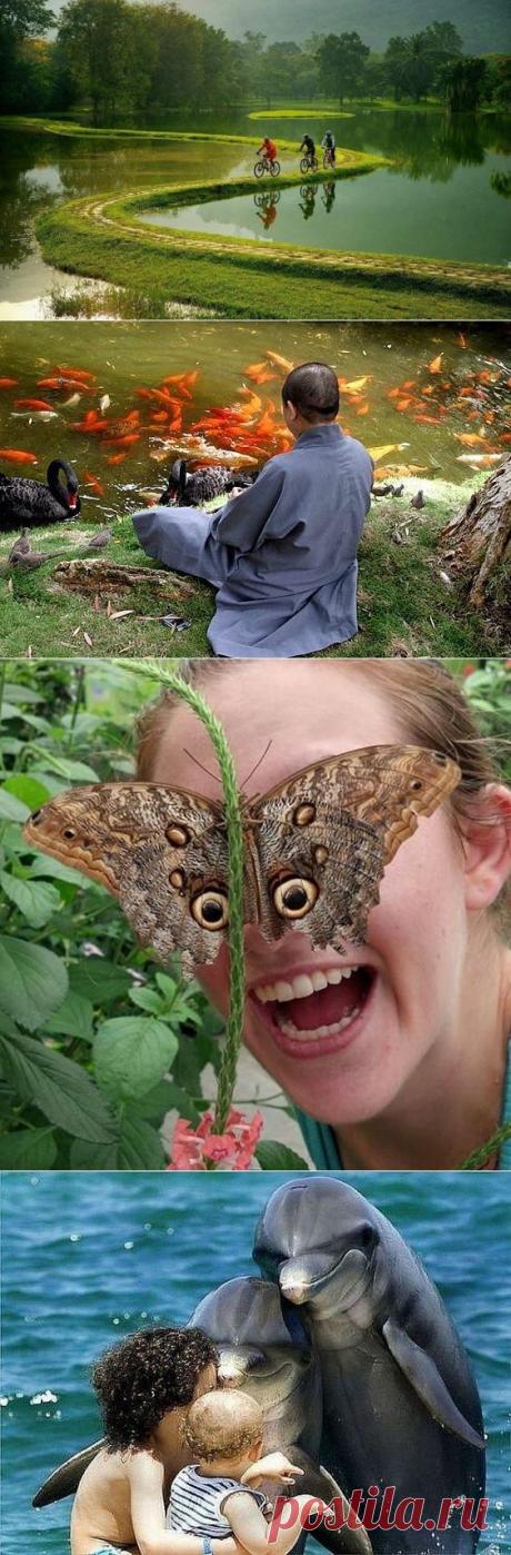 Фотоподборка