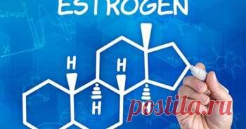 Аналіз на естроген: як і коли потрібно здавати кров? – galexpert.com.ua