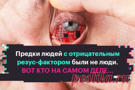 Предки людей с отрицательным резус-фактором были не люди. Вот кто на самом деле… - Какая бы у тебя ни была группа крови, есть еще один очень...