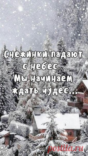 85dddc09.jpg (340×604)