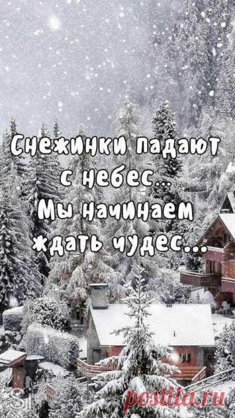 85dddc09.jpg (340×604)