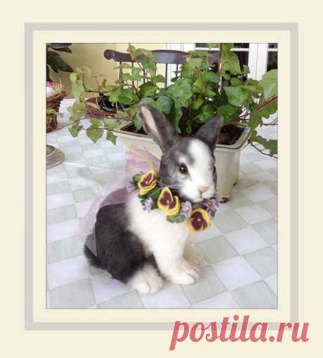 https://www.facebook.com/RJohnWrightDolls?fref=photo