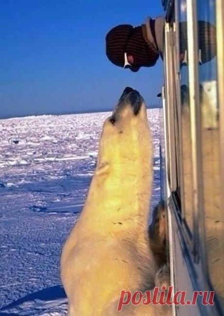 Неожиданная встреча | Позитив