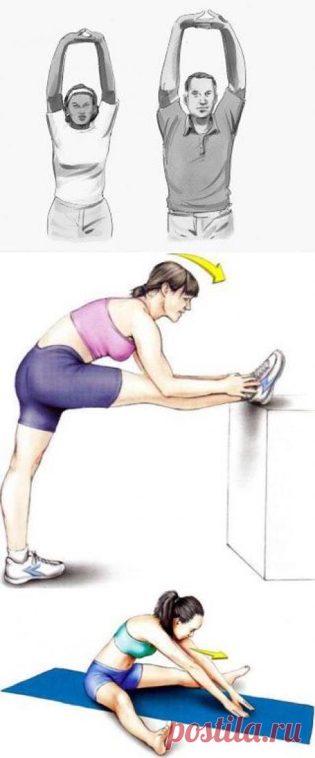 БЕЗ ШТАНГИ И ТРЕНАЖЁРОВ