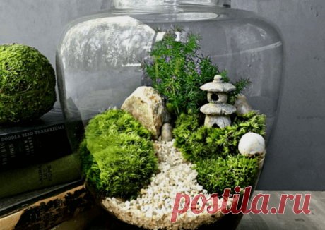 Флорариумы: виды, описание, идеи оформления ~ Planetalsad