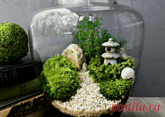 Флорариумы: виды, описание, идеи оформления ~ Planetalsad