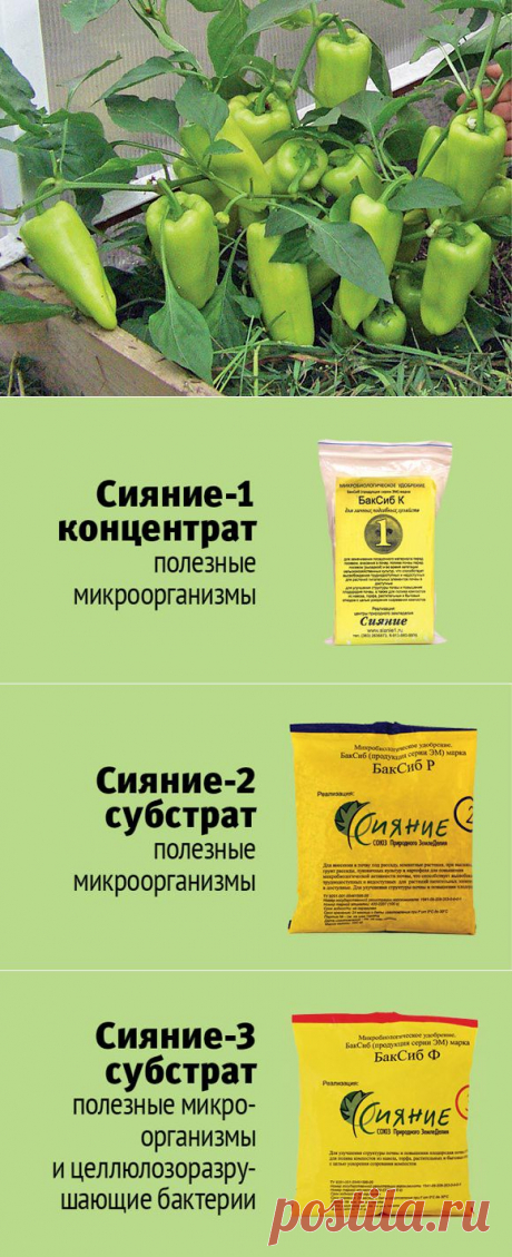 (+1) тема - Секреты успешного урожая Галины Доновой | ОГОРОД БЕЗ ХЛОПОТ