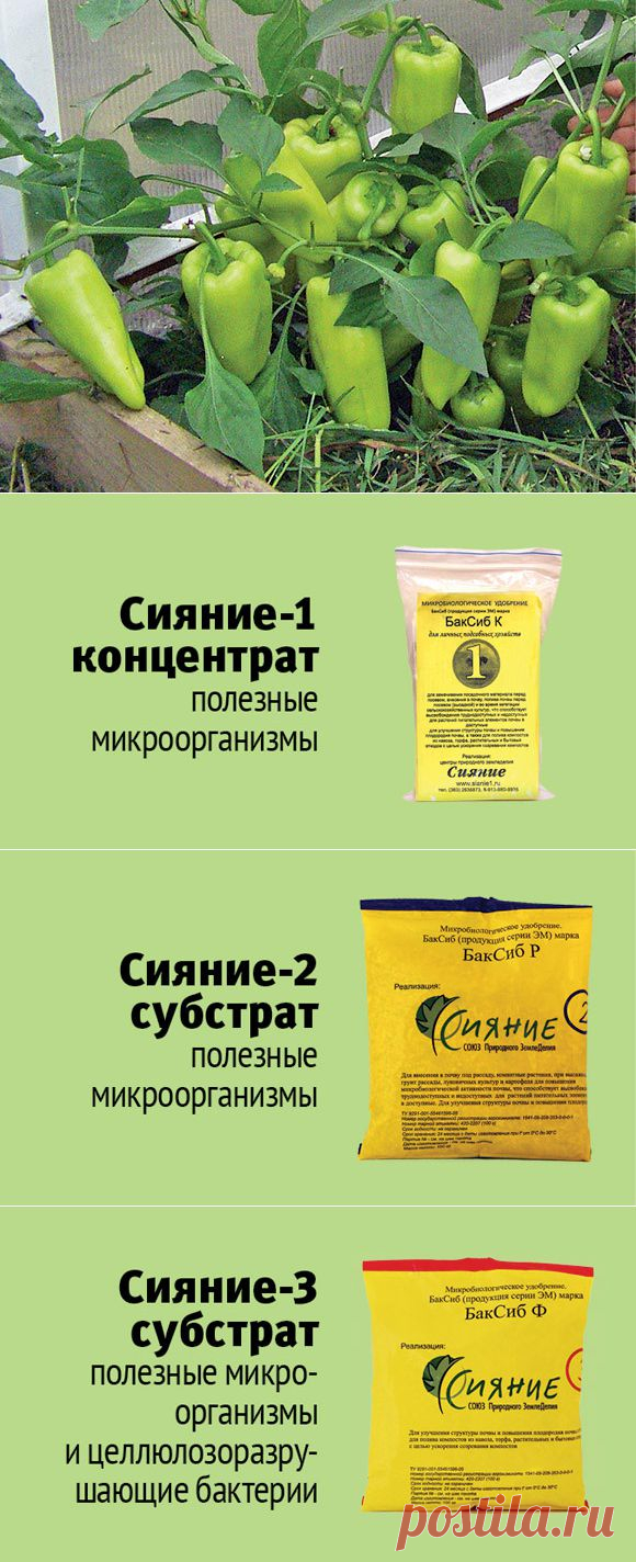 (+1) тема - Секреты успешного урожая Галины Доновой | ОГОРОД БЕЗ ХЛОПОТ