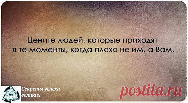 Это настоящие друзья