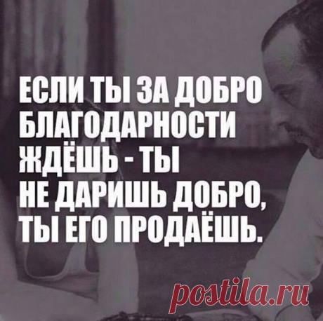 Очень красивые и мудрые цитаты