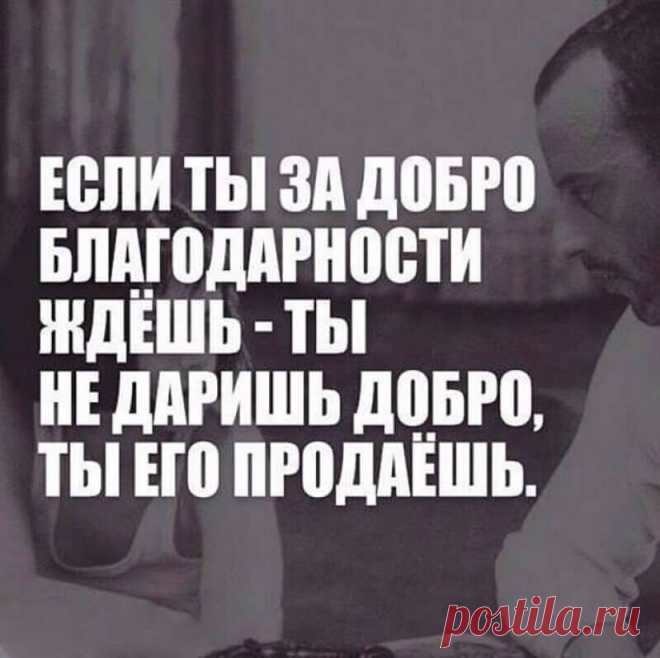 Очень красивые и мудрые цитаты