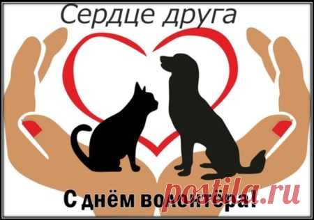 Волонтеры готовы показать другим пример,
Как здорово добро всегда творить!
Не требуя совсем наград взамен,
Вы мир хотите в сказку превратить!