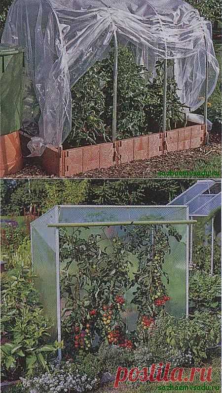 Теплица для томатов | Азбука садовода