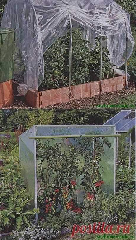 Теплица для томатов | Азбука садовода